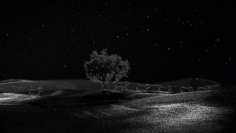 Image of HIRAKI SAWA's Hidden Tree, 2007