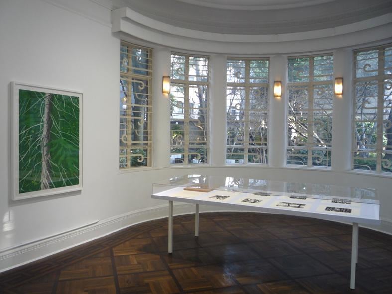 installation view of several artworks