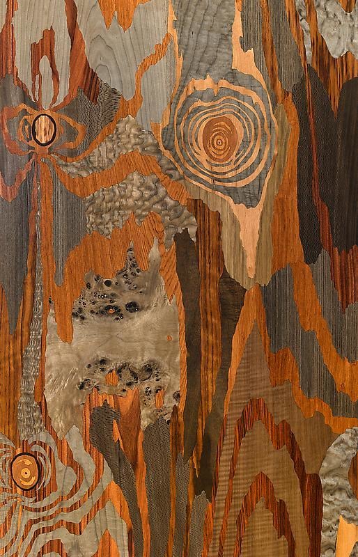 Detail of ALISON ELIZABETH TAYLOR's Silver Fox, 2013