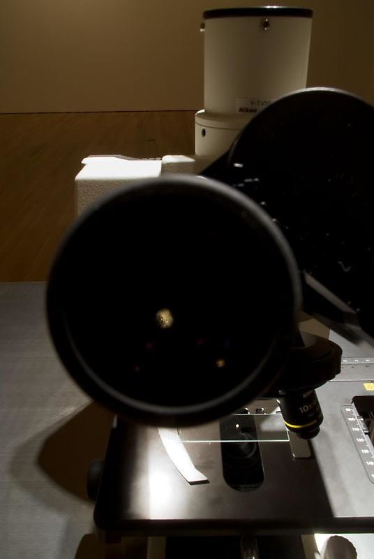 close up of microscope