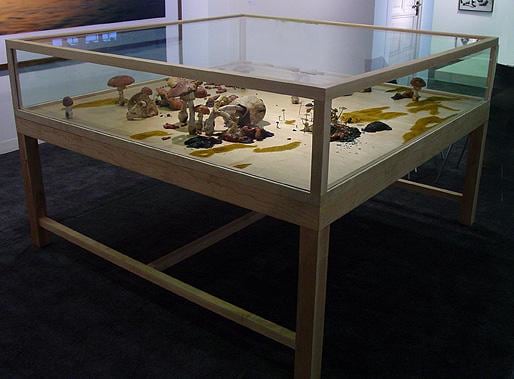 mushrooms inside a glass display case