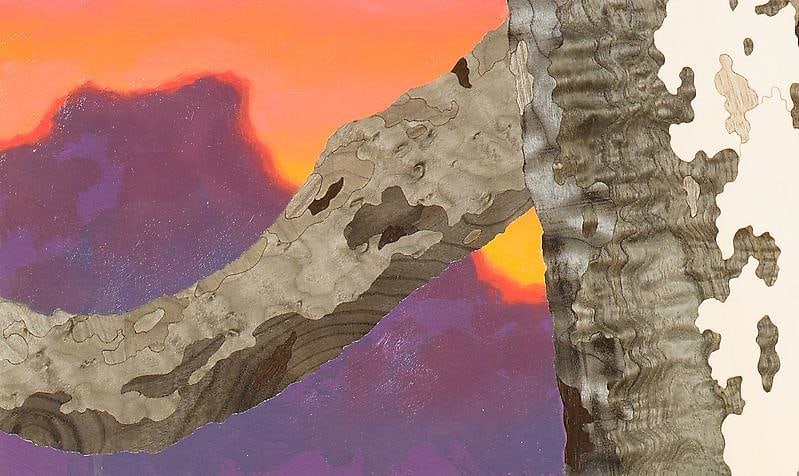 Detail of ALISON ELIZABETH TAYLOR's Cloud 10, 2012