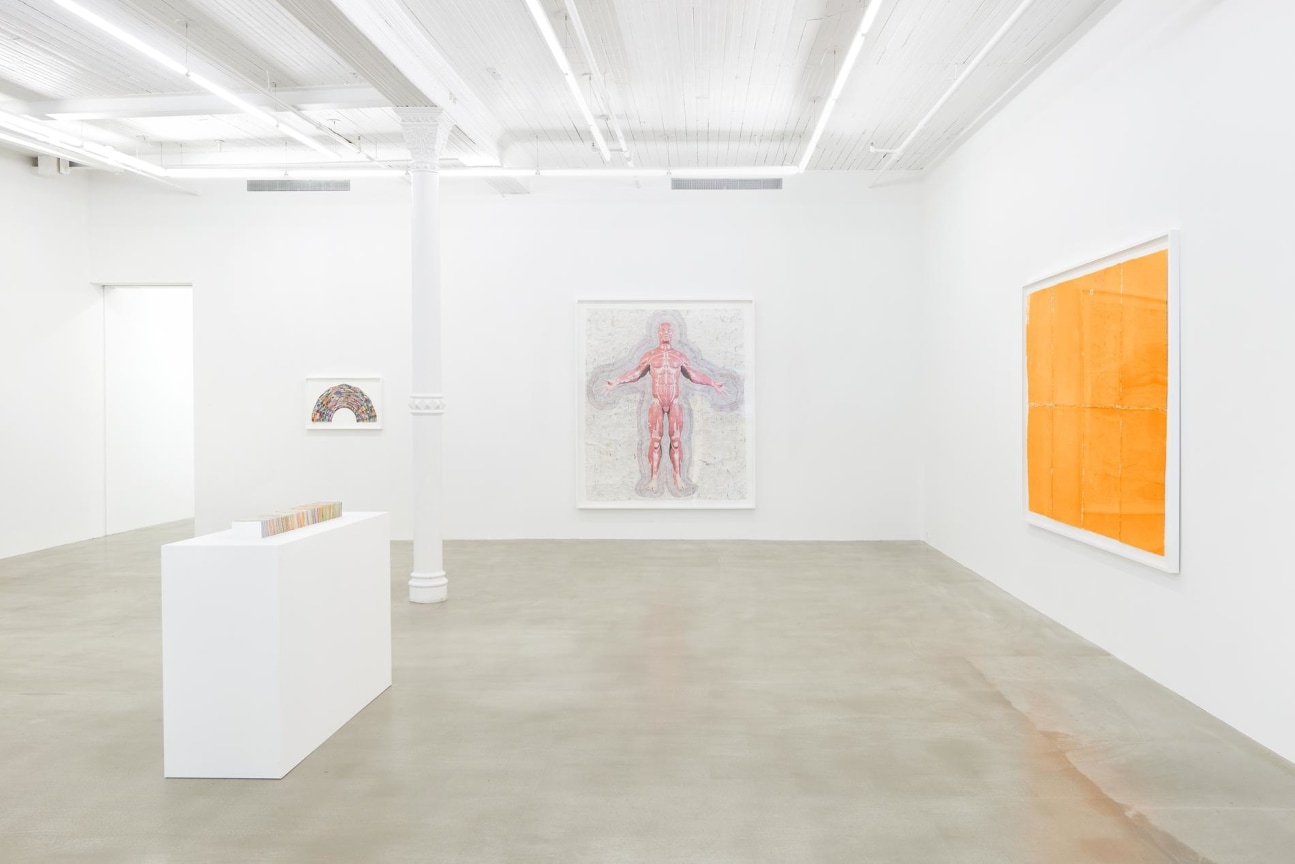 Installation view of several artworks