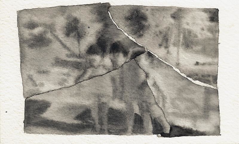 Image of GUO HONGWEI's 郭鸿蔚 Broken Photo #1 碎照片#1, 2009