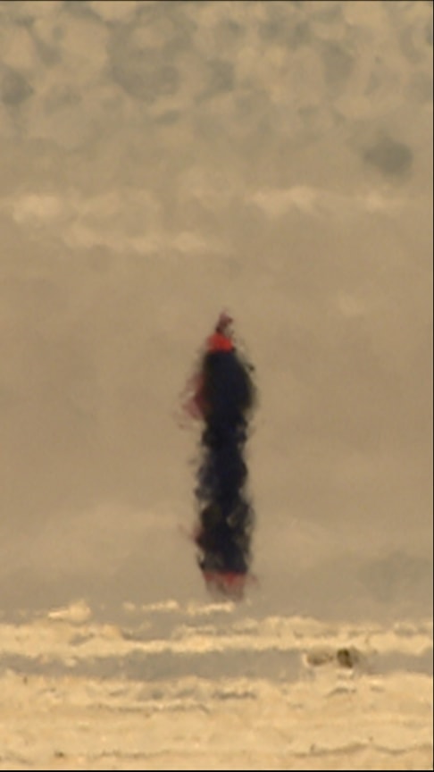 Image of BILL VIOLA's Passage into Night, 2005