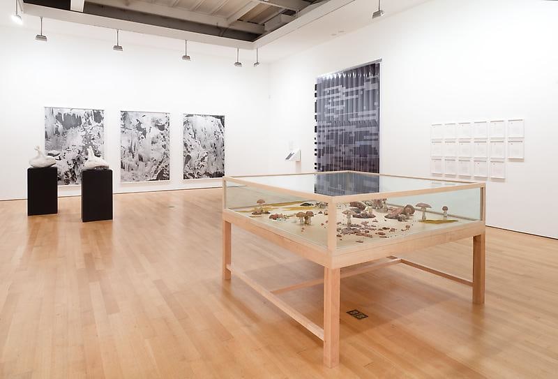Installation view of several artworks