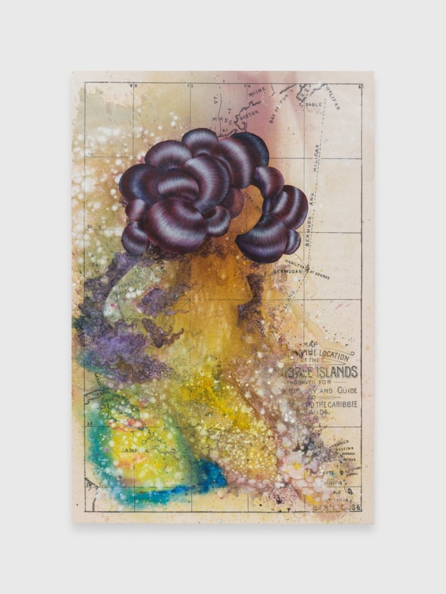 Image of FIRELEI B&Aacute;EZ's Chrono-DREAMer, 2019