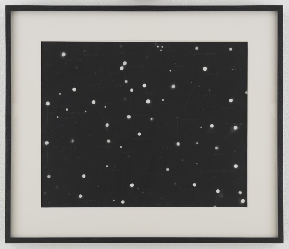 FRED TOMASELLI, Portrait of Laura (graphite version), 2015