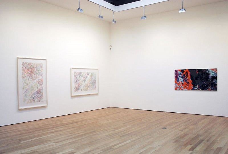 installation view of three of Calame's works