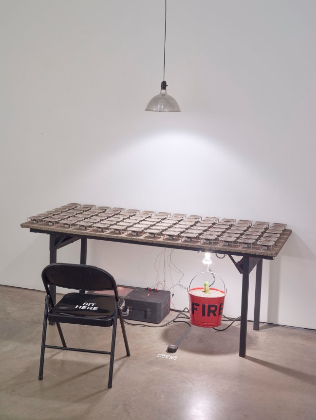 Image of FRED TOMASELLI's Geology Lesson, 1986