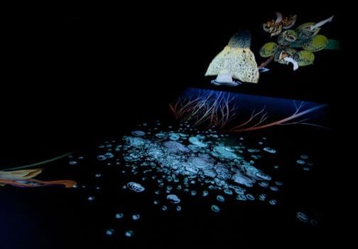 Bubbles being projected on the floor.