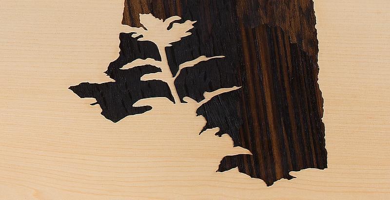 Detail of ALISON ELIZABETH TAYLOR's Into the Wild, 2012