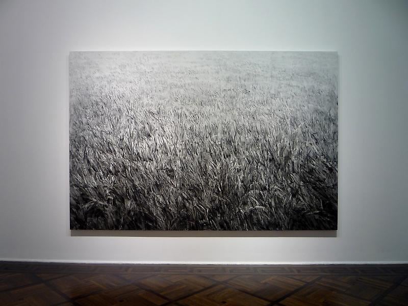 installation view of one artwork