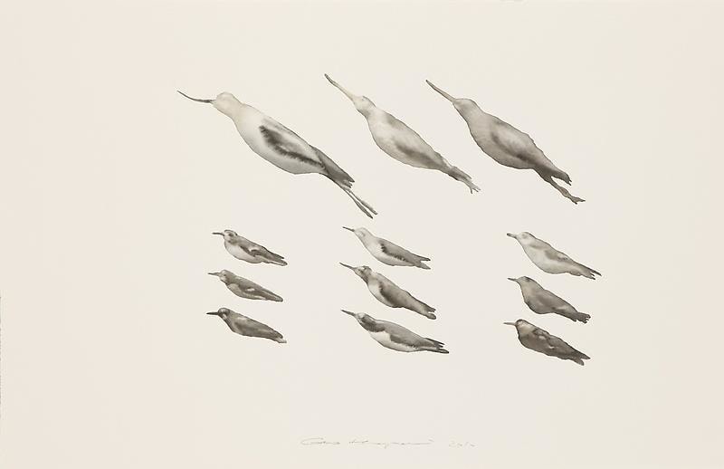 Image of GUO HONGWEI's 郭鸿蔚 Still Life #5 生物 #5, 2010