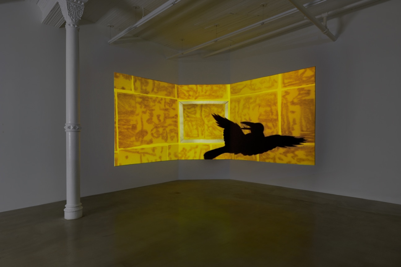 Image of Tabaimo's Crow, 2016