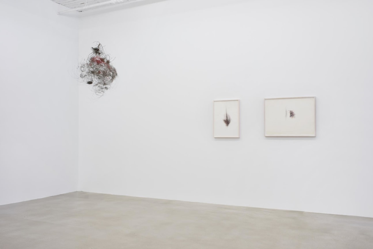 installation view of several artworks
