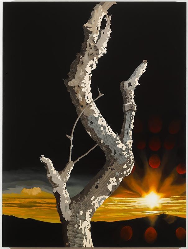 Image of ALISON ELIZABETH TAYLOR's Transparent Eye, 2013