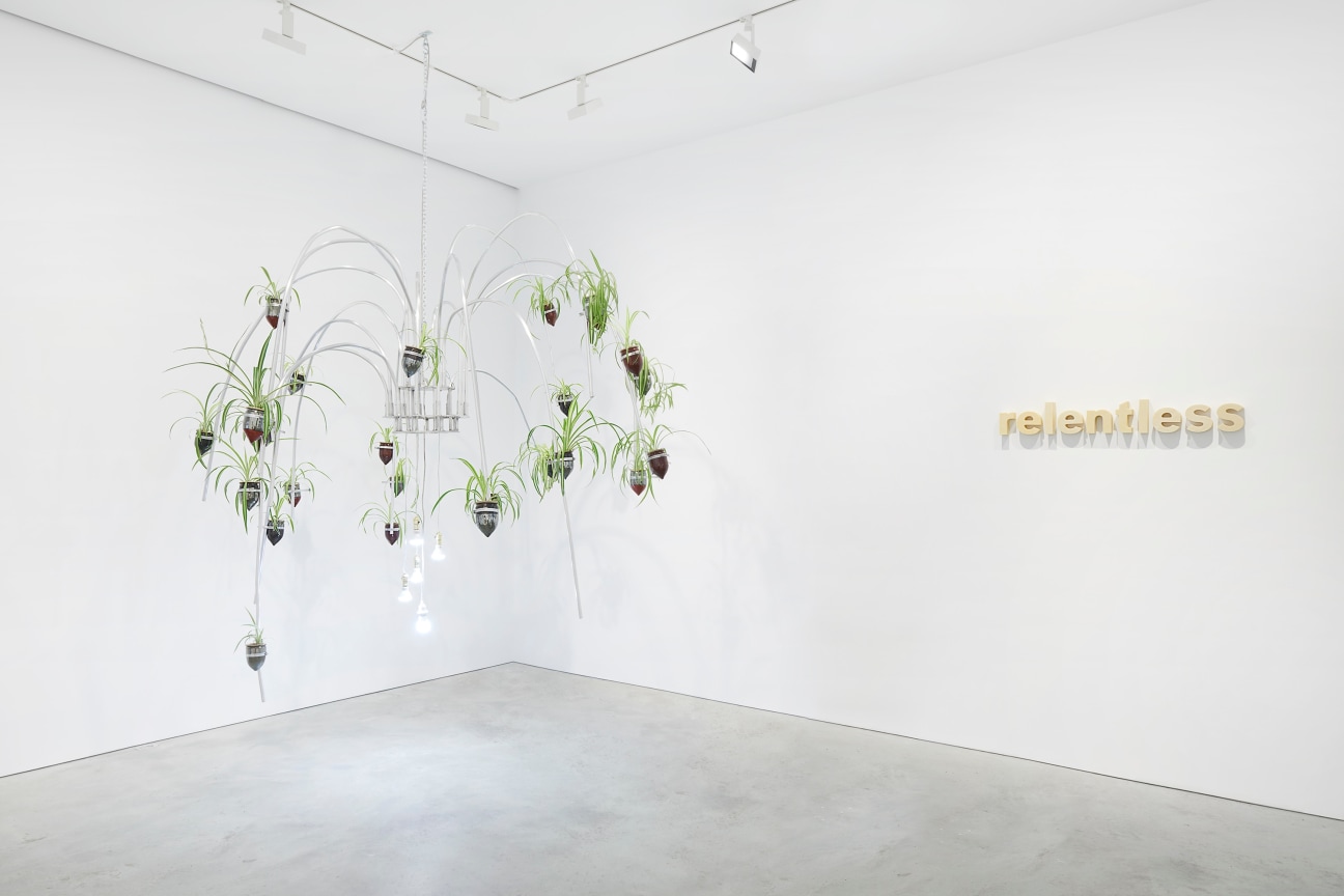 gallery view of two artworks