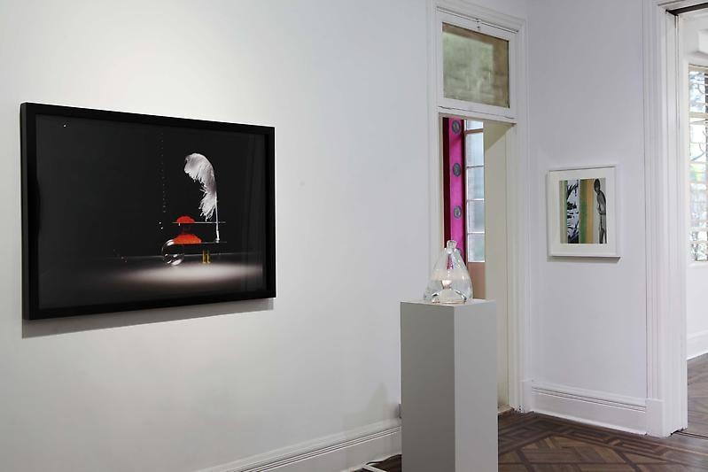 installation view of several artworks