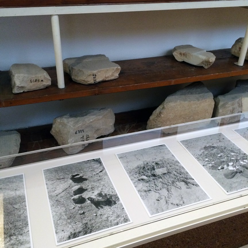 Installation view: Gauri Gill:&nbsp;documenta 14,