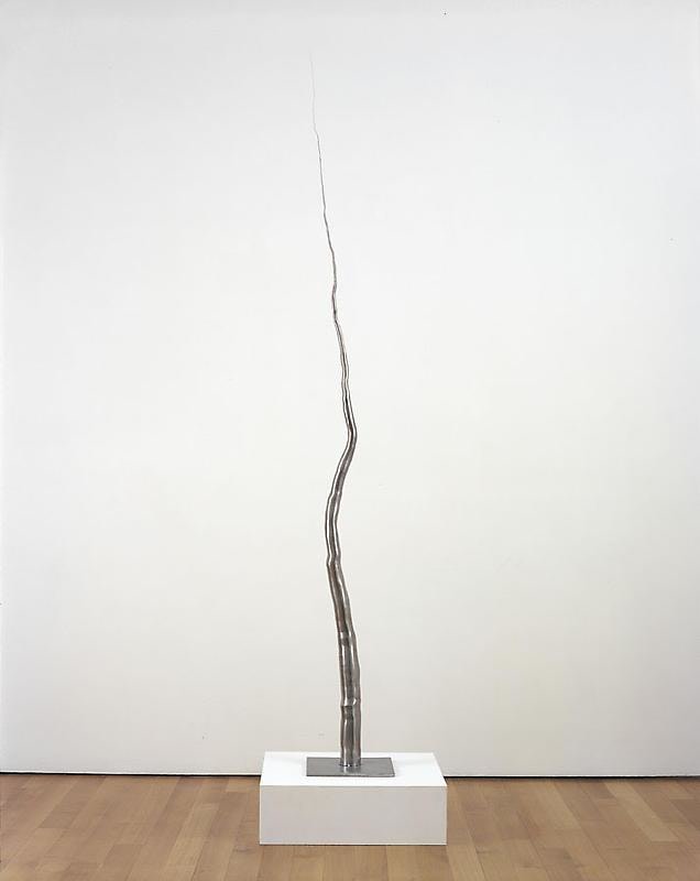 Image of ROXY PAINE's Model for 100 Foot Line, 2008