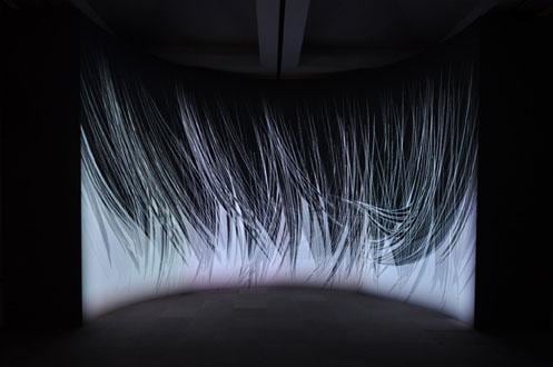 projection of a black, wispy material that looks like hair