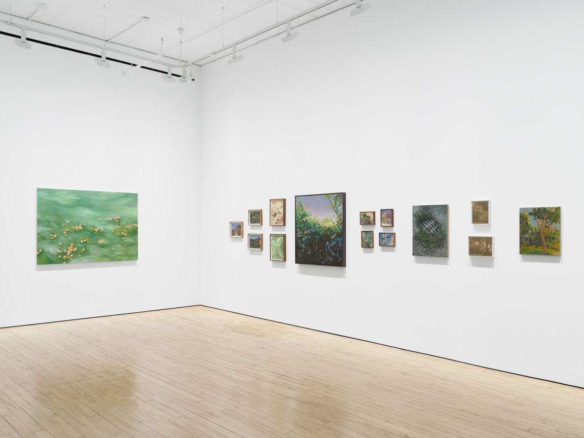 Installation view, Arcadia and Elsewhere, James Cohan, 52 Walker Street, NY, January 12 - February 10, 2024