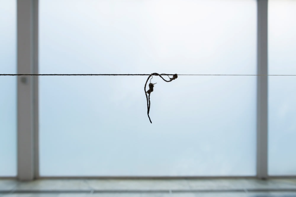 close up of thread suspended in mid air