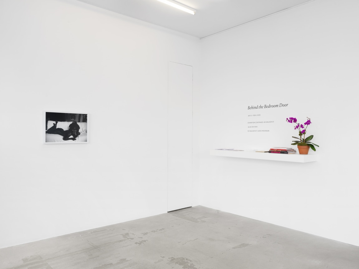 Installation view, Behind the Bedroom Door, James Cohan, 48 Walker and 291 Grand St, New York, NY, January 10 - February 8, 2025.
