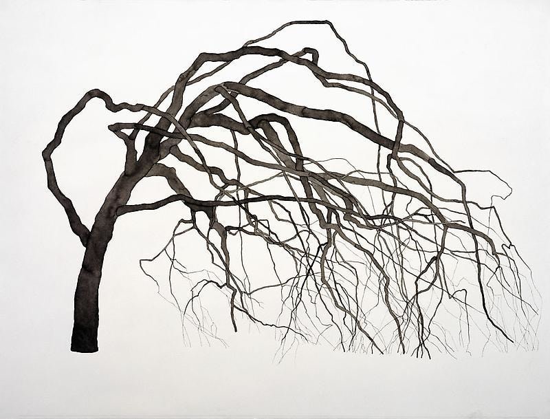 Image of ROXY PAINE's Drawing for Synapse, 2009