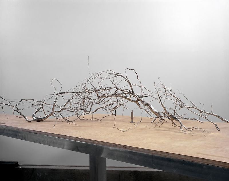 Image of ROXY PAINE's Model for Maelstrom, 2009