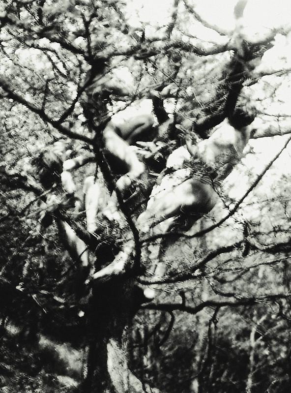 FRANK MAJORE Nudes 18, 2003