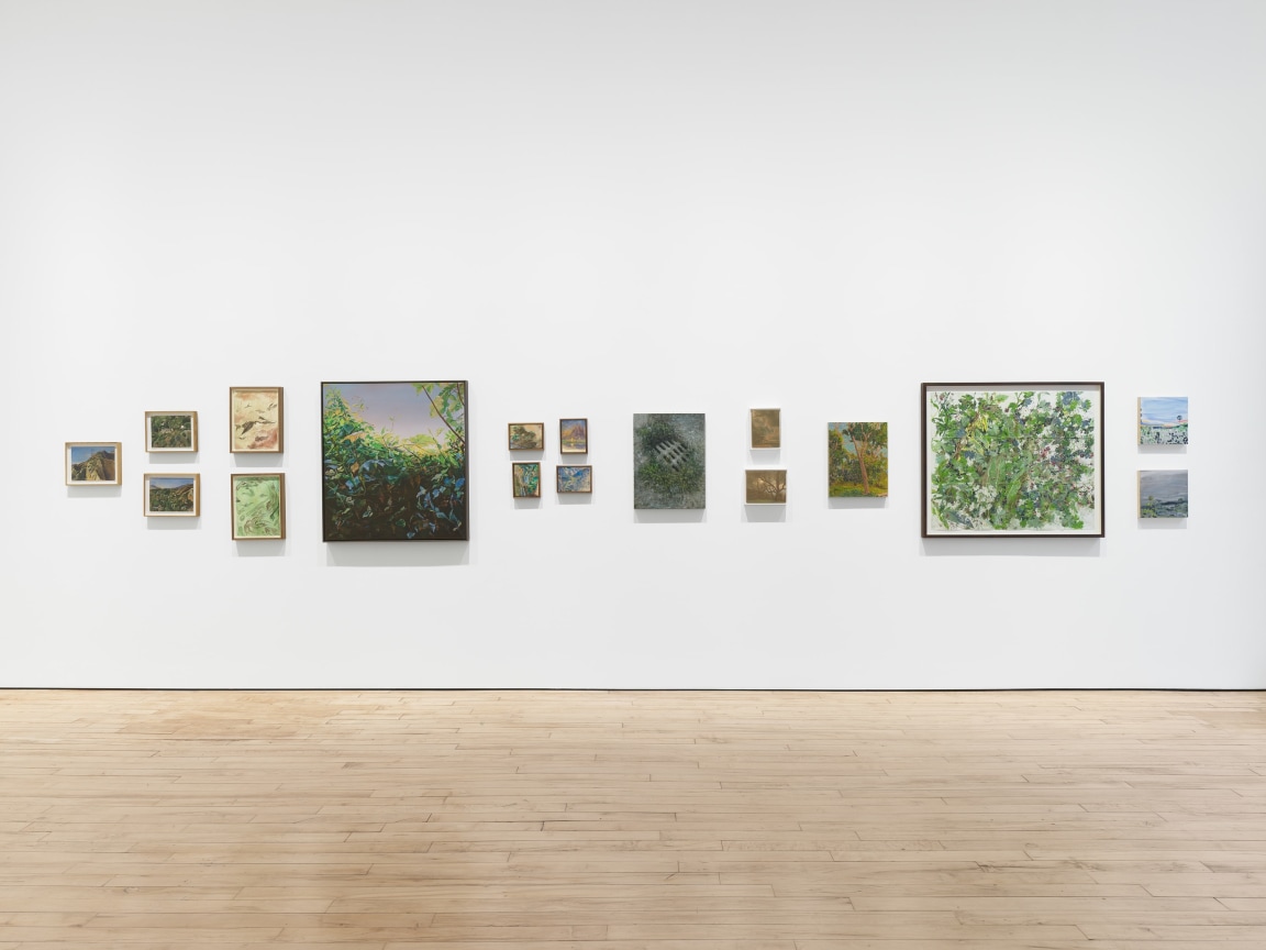 Installation view, Arcadia and Elsewhere, James Cohan, 52 Walker Street, NY, January 12 - February 10, 2024