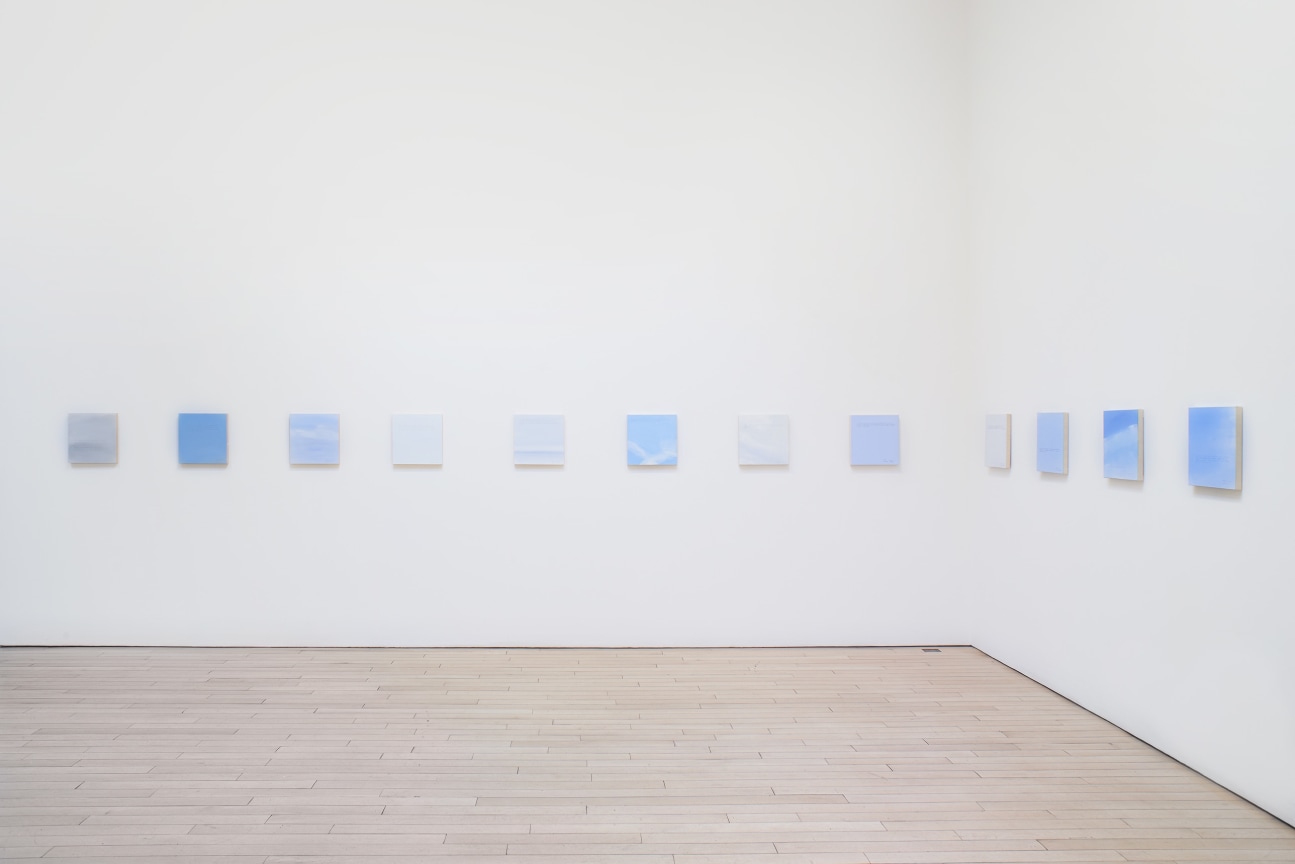 installation view of several square canvases in a row