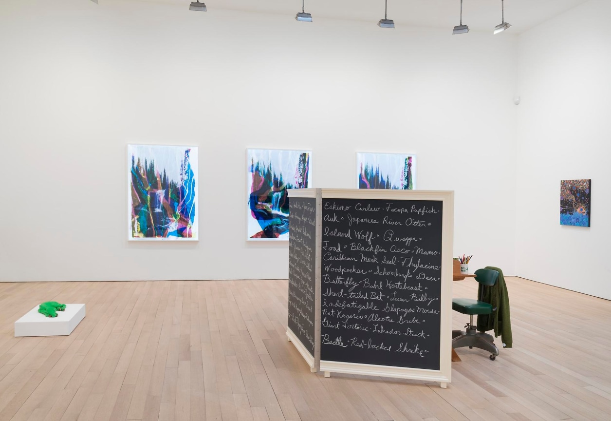 installation view of several artworks