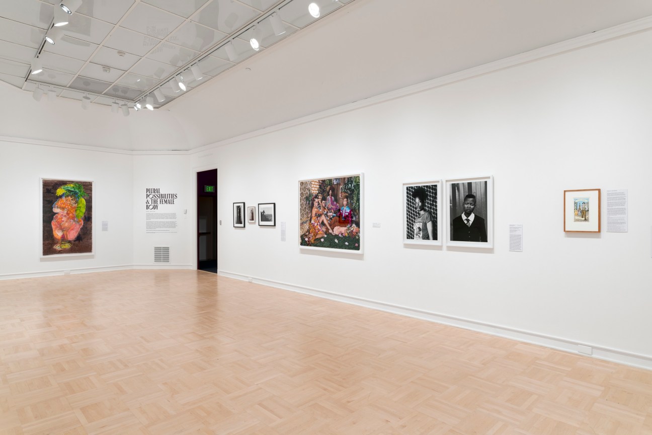 Installation view, Firelei B&aacute;ez,&nbsp;Plural Possibilities &amp;amp; the Female Body, Henry Art Gallery, University of Washington, Seattle, WA,&nbsp;February 27 -&nbsp;May 09, 2021, Photo: Jueqian Fang.