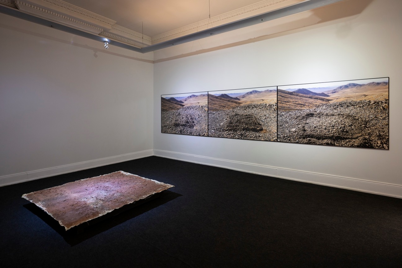 TERESA MARGOLLES, La exhumaci&oacute;n