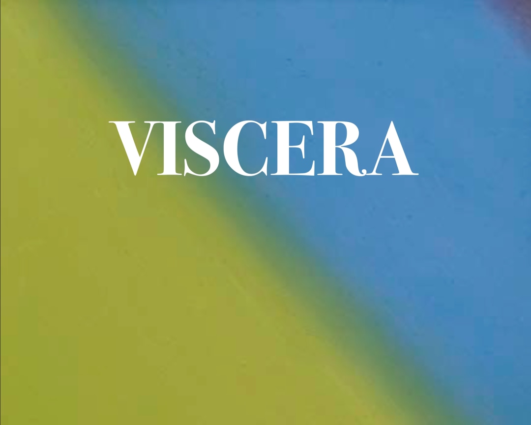 Cover image of Dan Colen: Viscera, published by Venus Over Los Angeles, Los Angeles, 2016