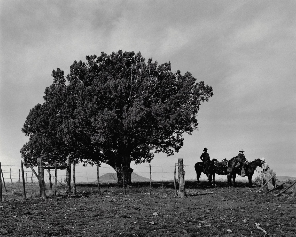 Kurt Markus, Oro Ranch, Prescott, Arizona, 1986