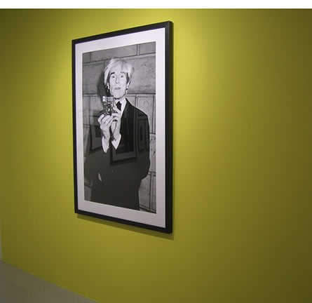 Ron Galella, Exhibition View