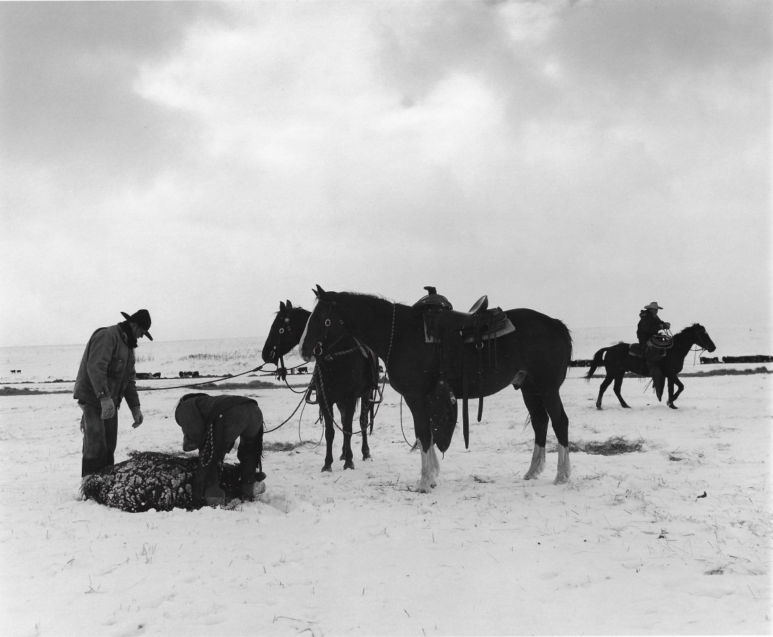 Kurt Markus, YP Ranch,&nbsp;Tuscarora,&nbsp;NV, 1987