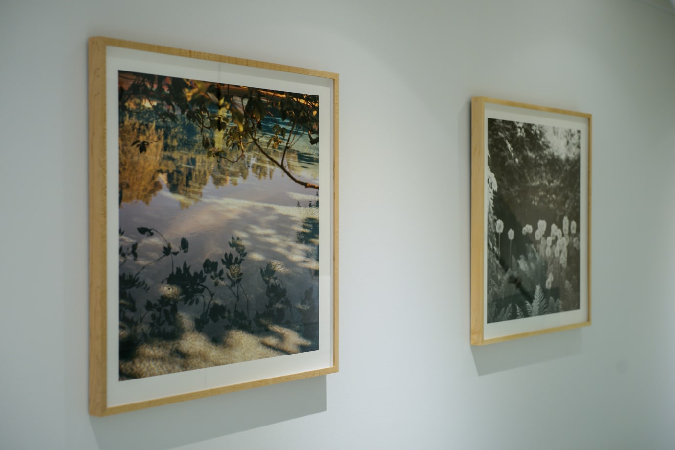 Sophie Elgort X ADEAM, Installation View