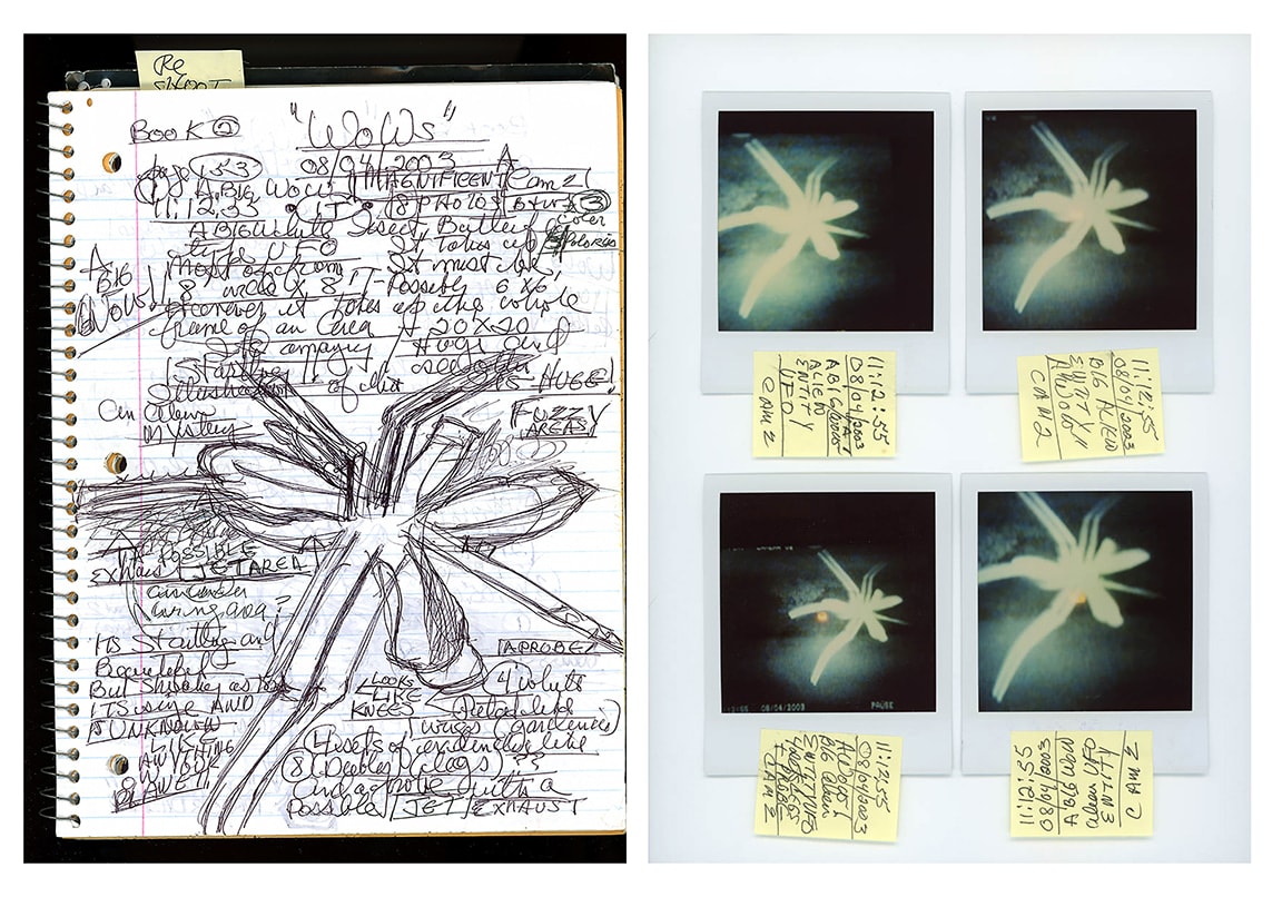 Kali, WoWs Diptych 2