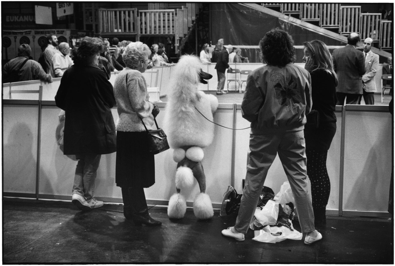 Elliott Erwitt, Birmingham, England, 1991