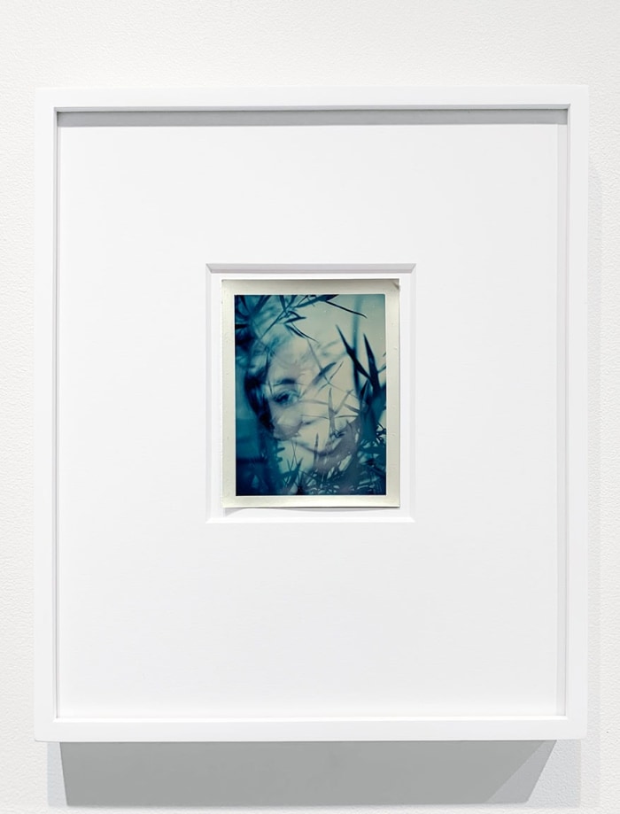 Kali, Blue Face and Leaves, CA, c. 1970s