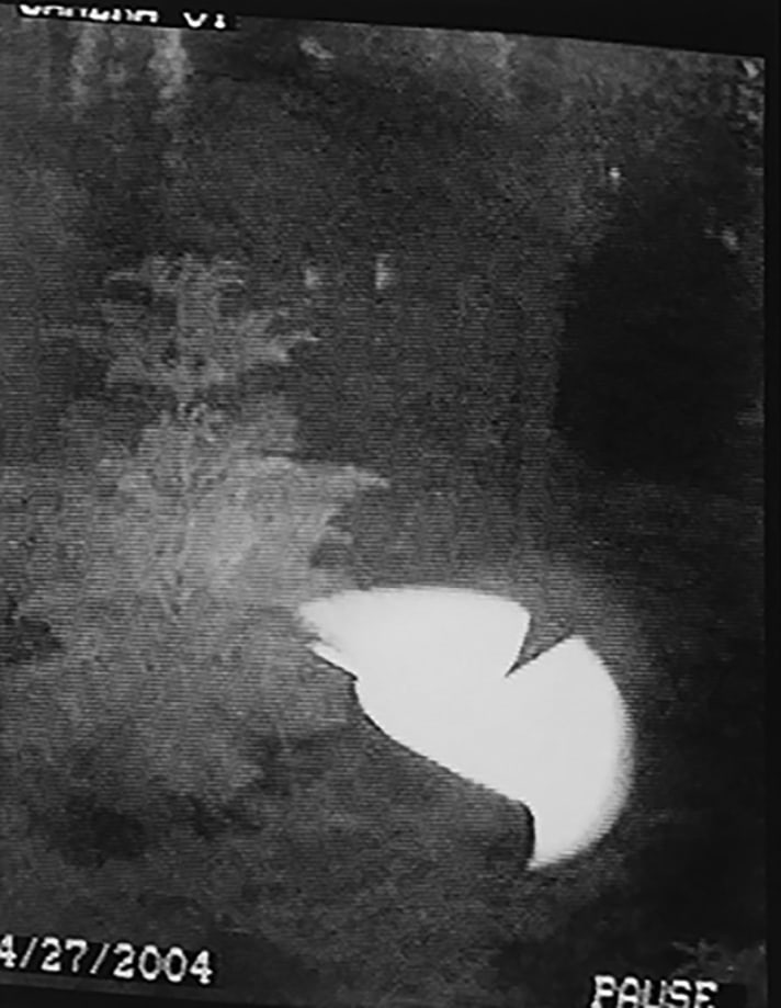 Kali, Morphing UFO, April 27, 2004