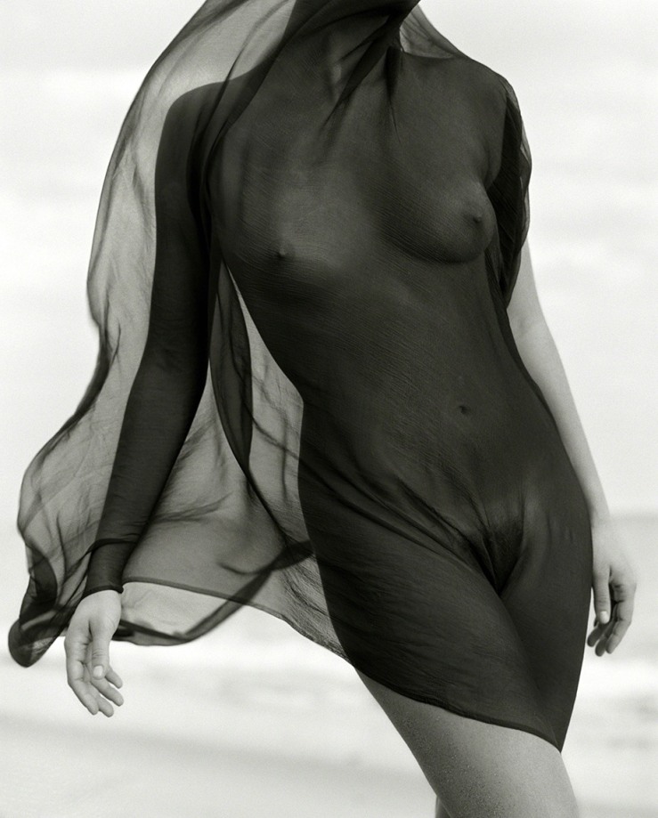 Herb Ritts, Female Torso with Veil, Paradise Cove, 1984