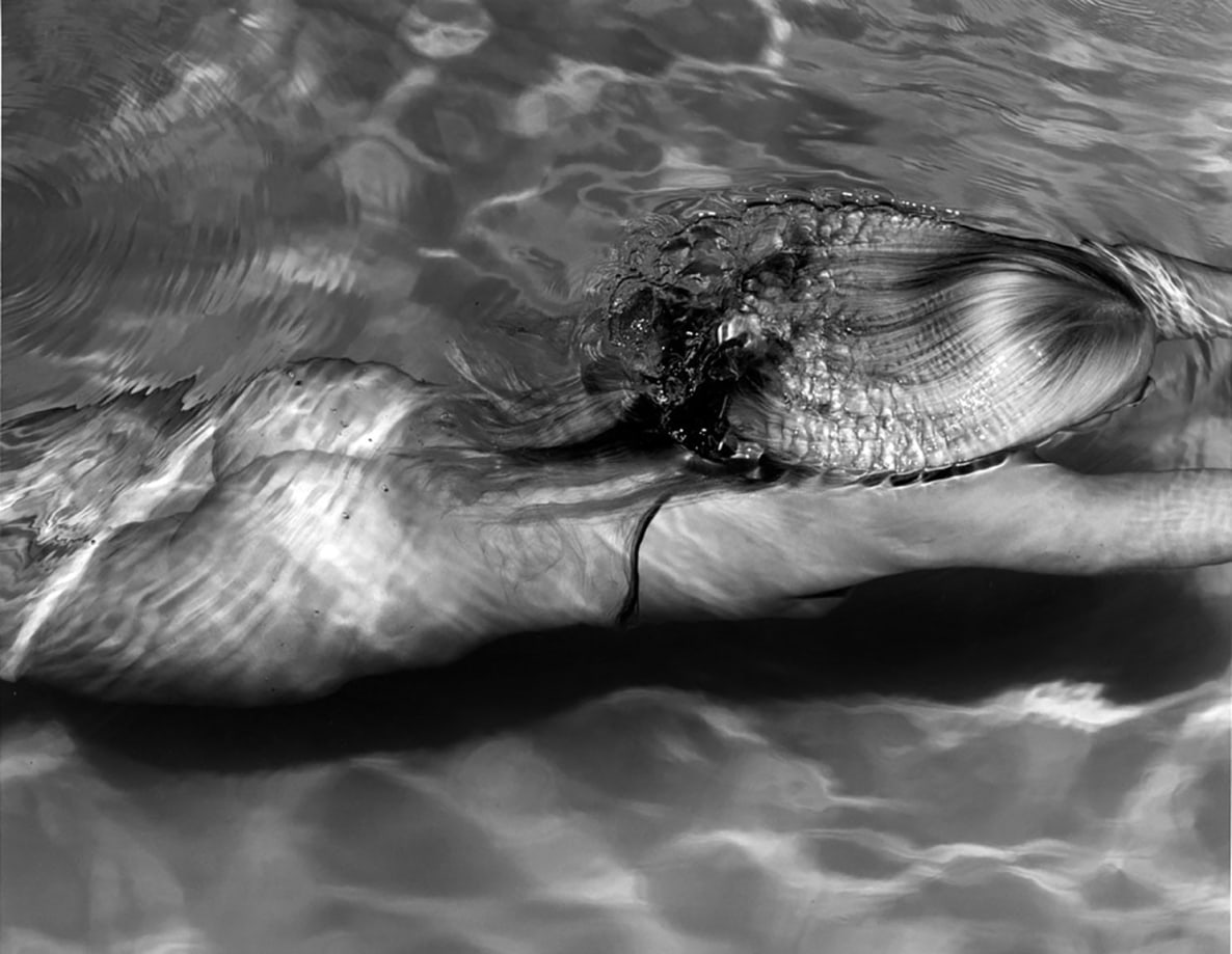 Michael Dweck, Mermaid 1, Amagansett, 2005