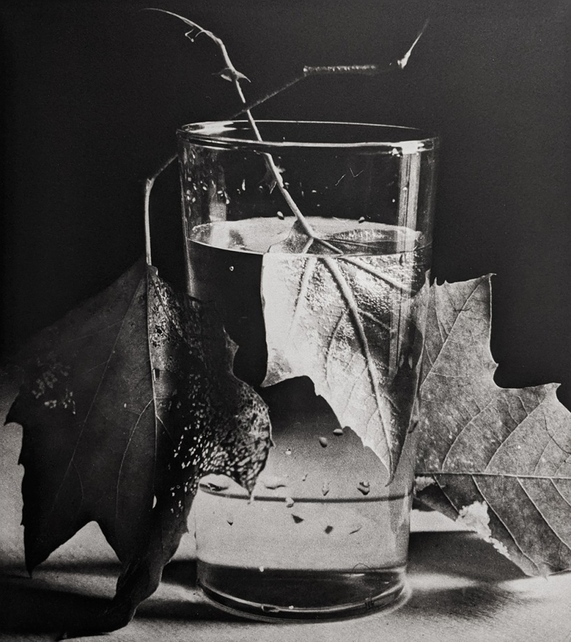 Horst, Army Leaves, Fort Belvoir, Virginia, 1944