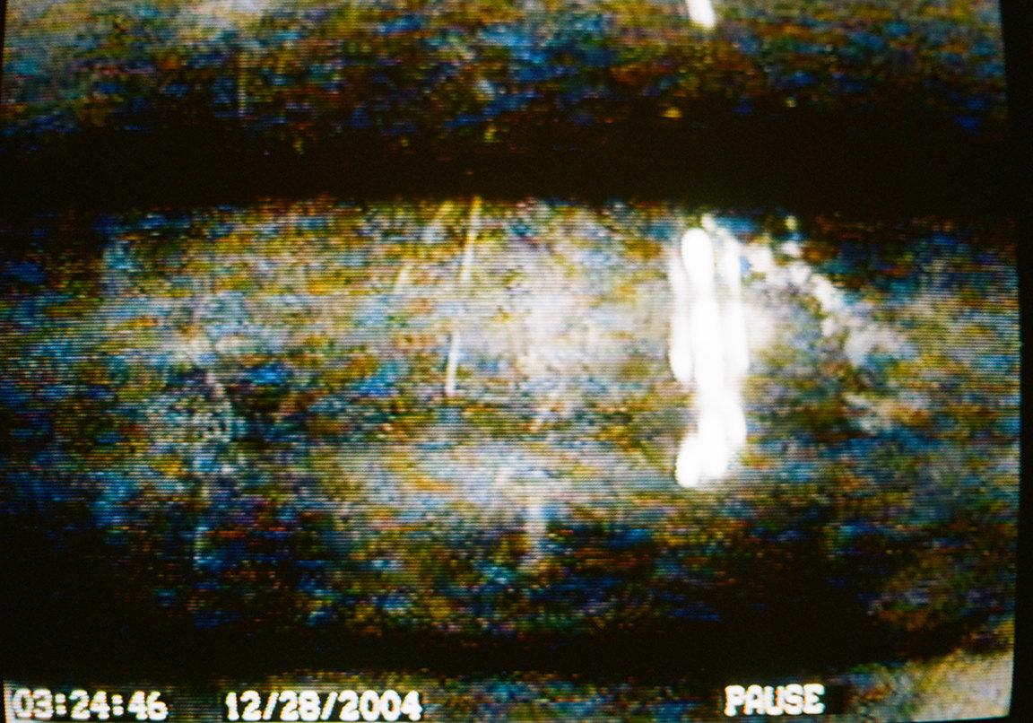 Kali, Untitled (Figure 1)